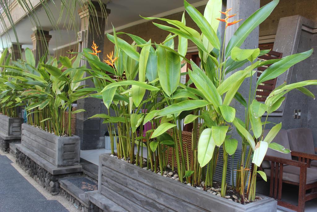 Letos Kubu Homestay Kuta  Luaran gambar
